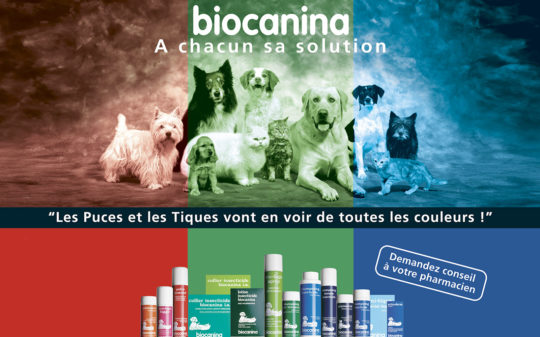Photomontage réaliser pour l'agence Symaps (2001)